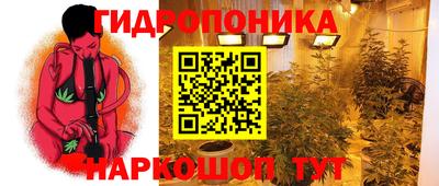 альфа пвп Аргун