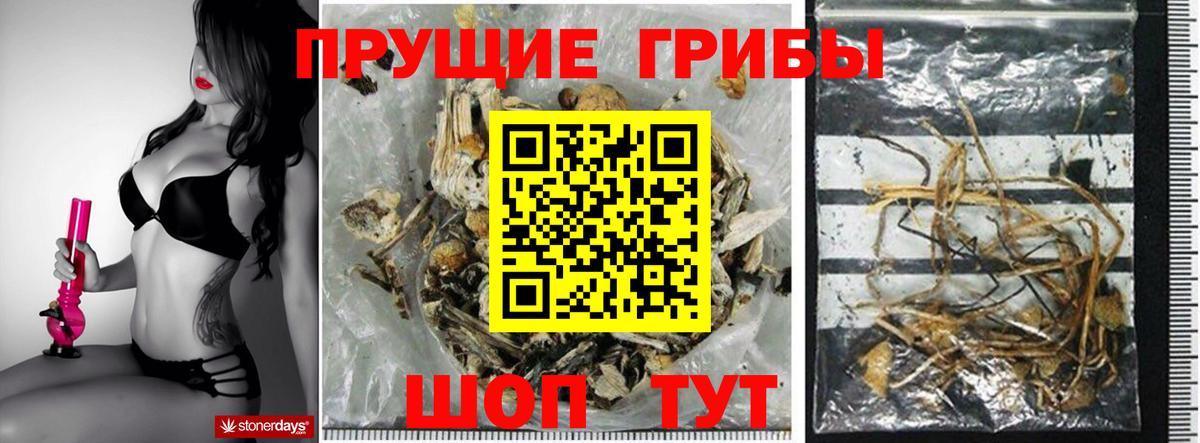 Галлюциногенные грибы MAGIC MUSHROOMS Аргун