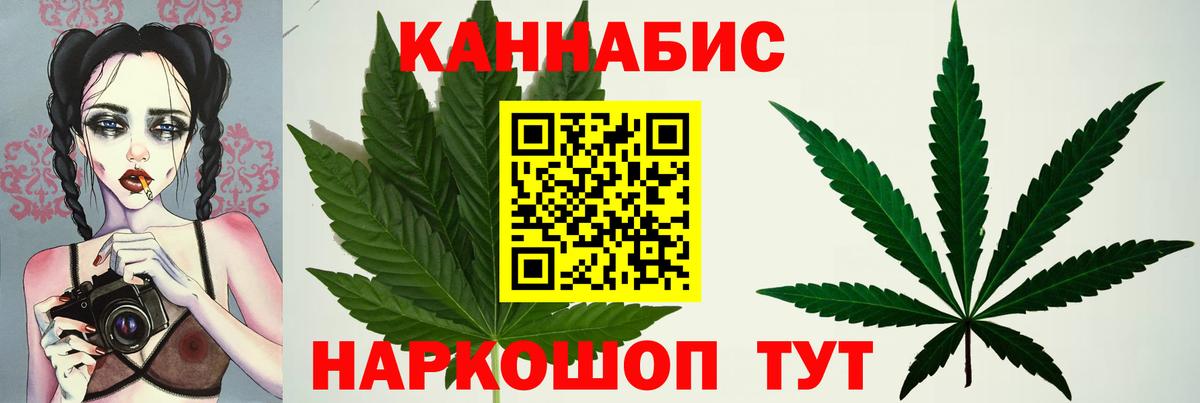 Шишки марихуана White Widow  Канабис план  Шишки марихуана Bruce Banner  Вход с VPN  Бошки Шишки Ganja  Аргун 